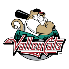 valleycats logo