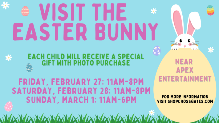 Easter Bunny ENT (1920 x 1080 px) (2)