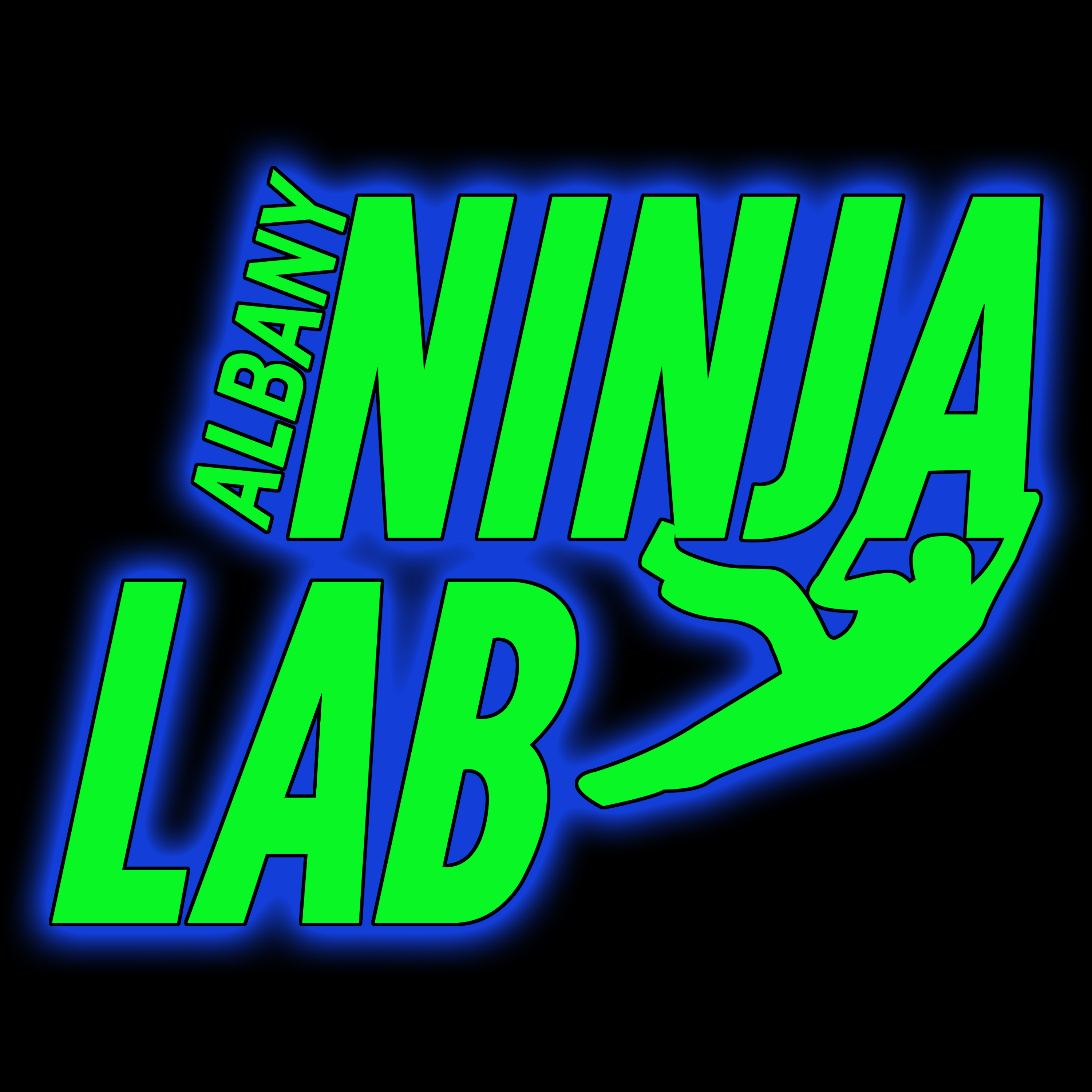 Albany Ninja Lab