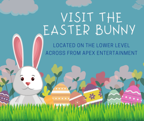 Bunny Now Here Bunny Now Here