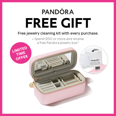 Jewellery Care Kit in 2023  Gentle jewelry cleaner, Pandora