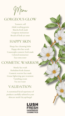 LUSH skincare event DD (1)