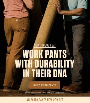 carhartt work pants 20% off