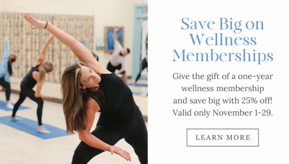 membership sale nov spa