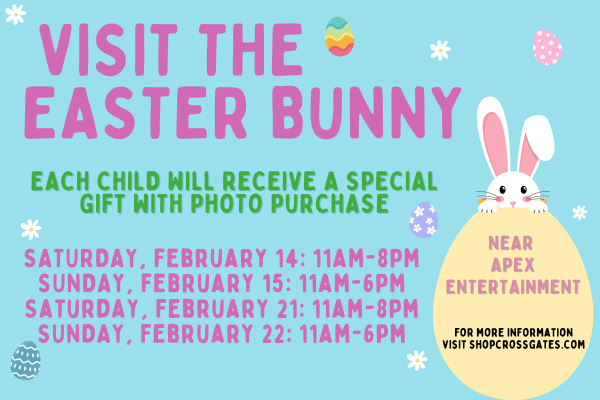 Website Under Slider Ads (10)